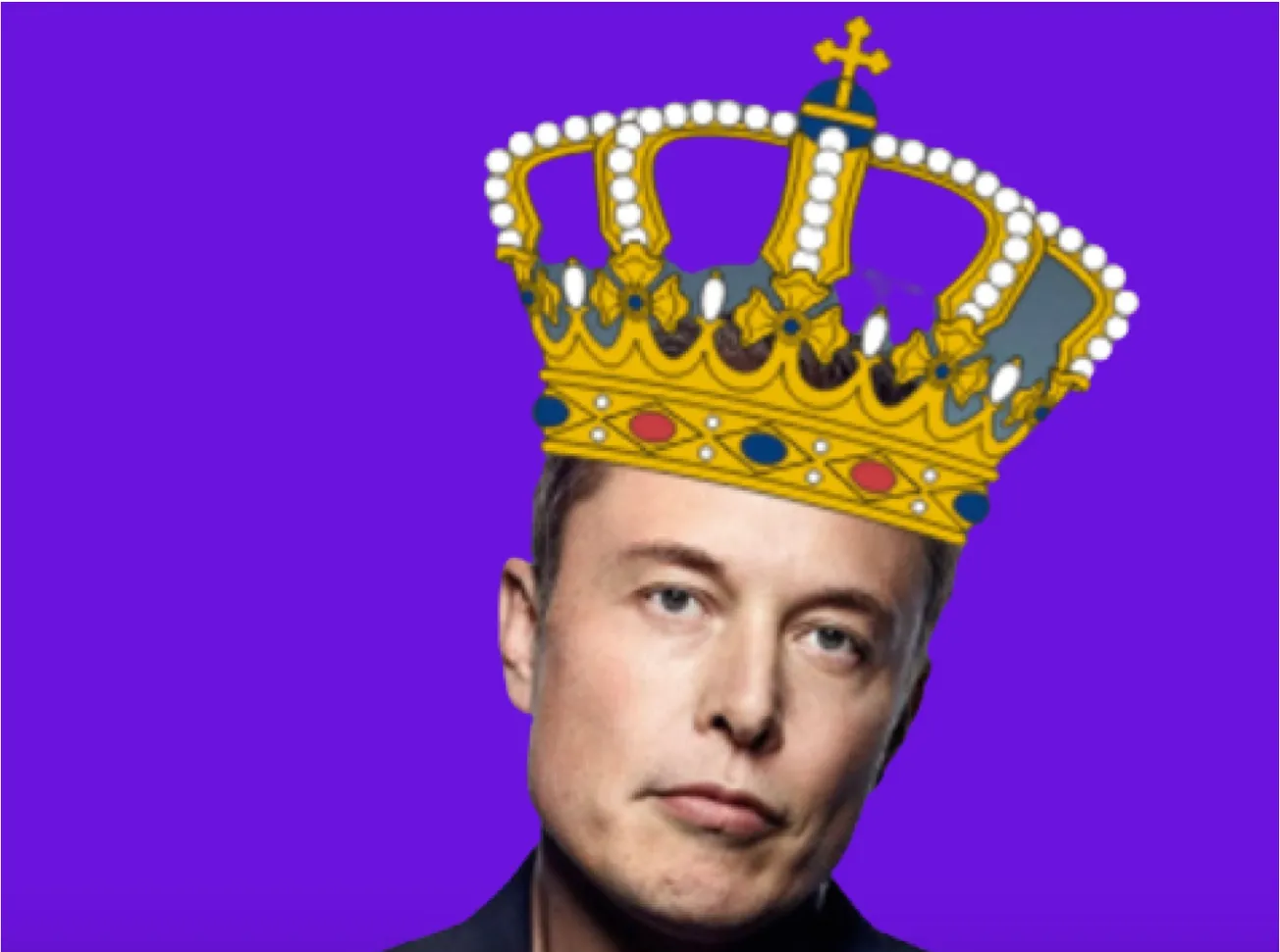 The Internet Loved the Elon Musk Interview