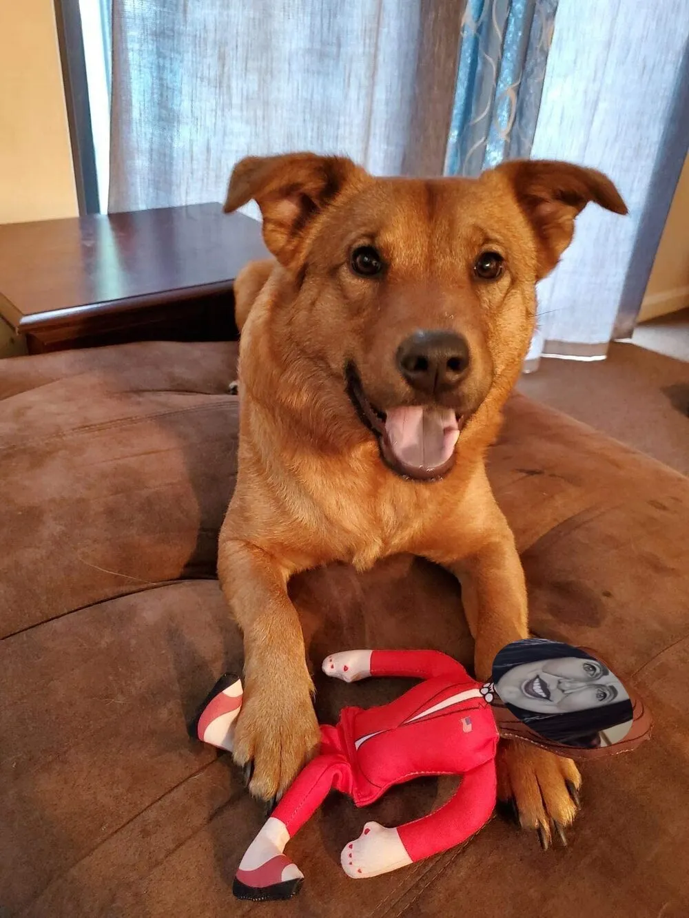 Jacinda Dog Toys Results in a Visit from NZ Police