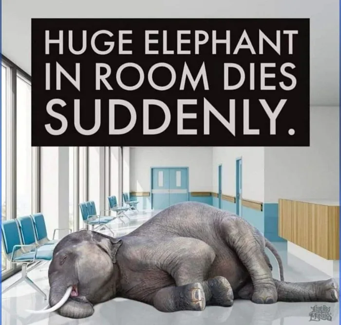 Looking at the Elephant in the Room