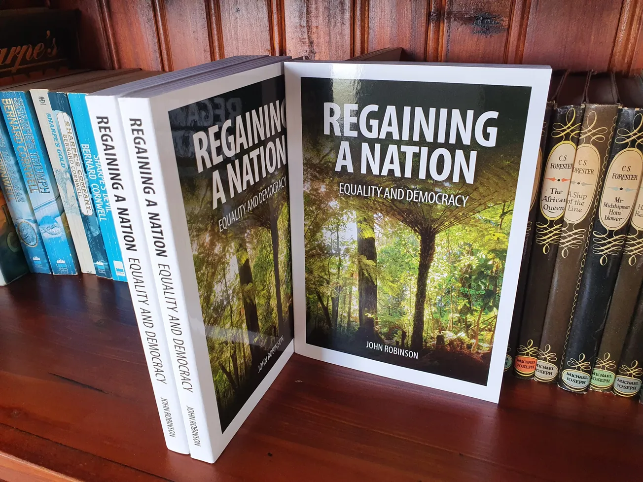 Book Review: Regaining a Nation; Equality and Democracy