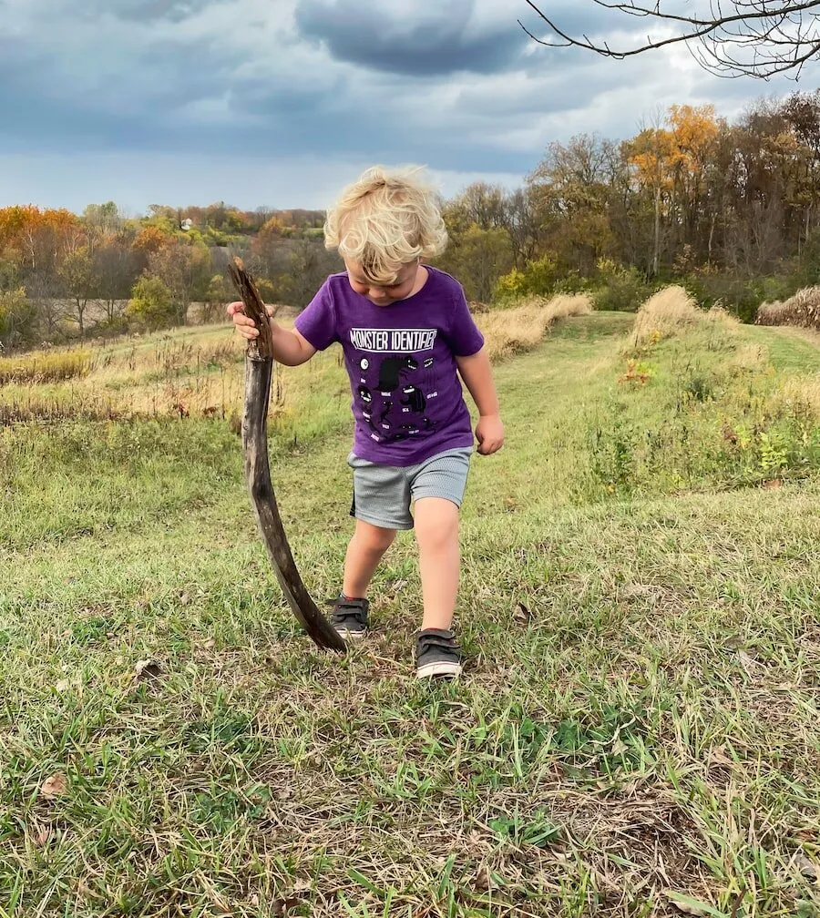 boy in blue t-shirt and black shorts holding black stick walking on green grass field