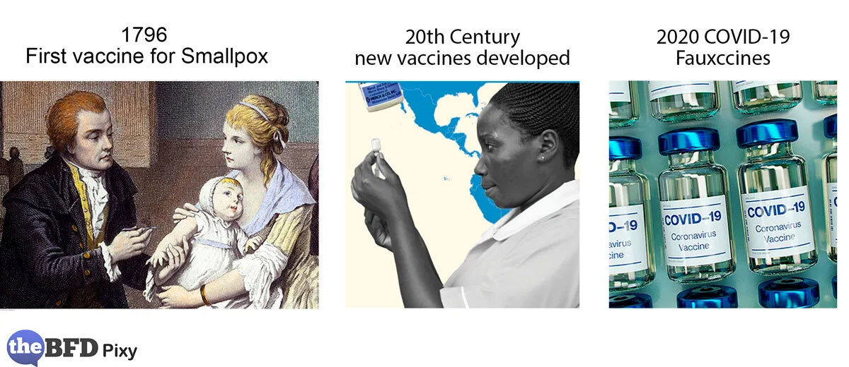 Vaccines and Fauxccines