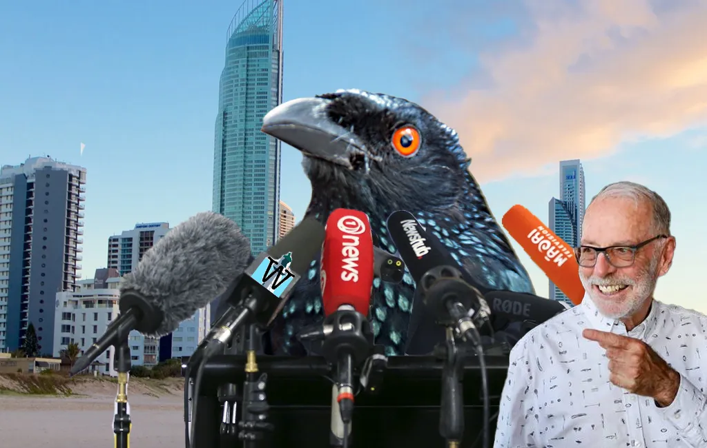 Drongo Bird Not Happy about Being Used to Describe NZ Media