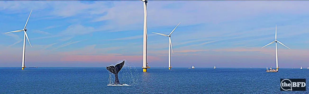 When Wind Farms Kill Whales