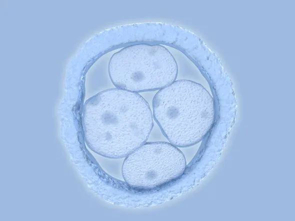 Sold as a Miracle, Now It Seems That It Is a Flop