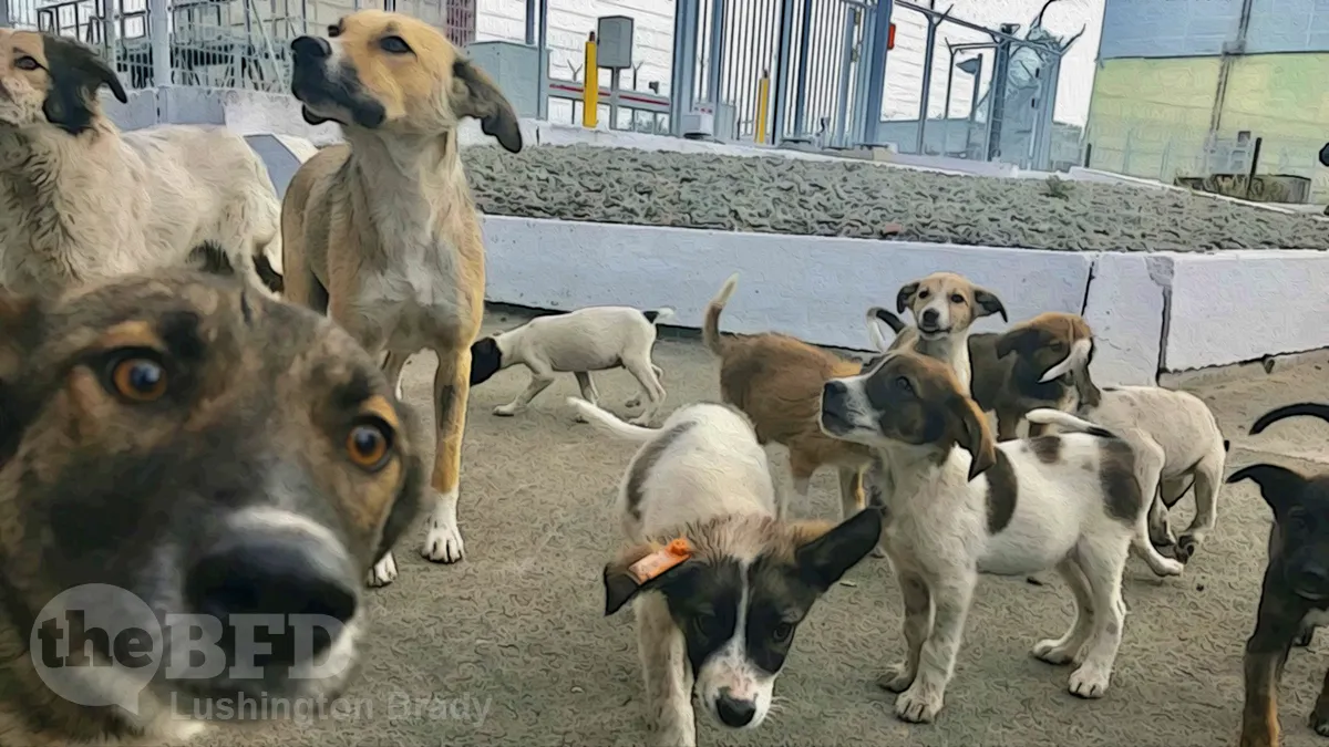 The Amazing Radioactive Dogs of Chernobyl