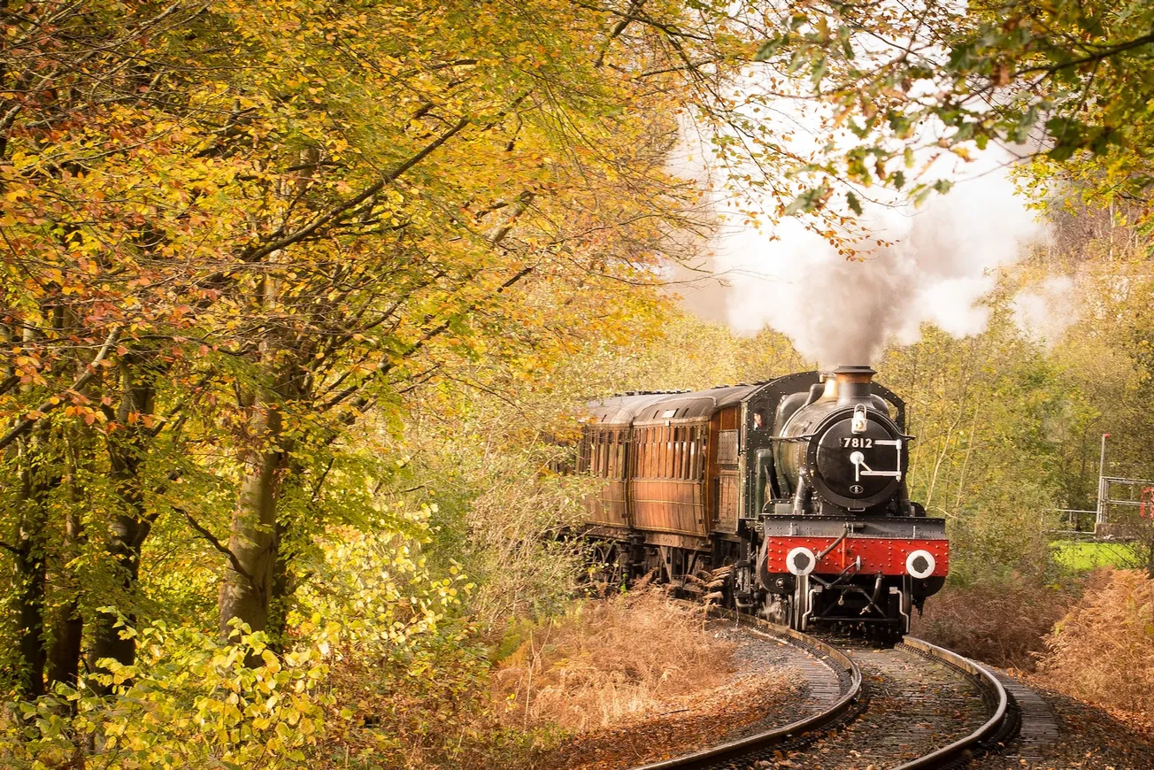 gray and black train surrounded with trees during daytime