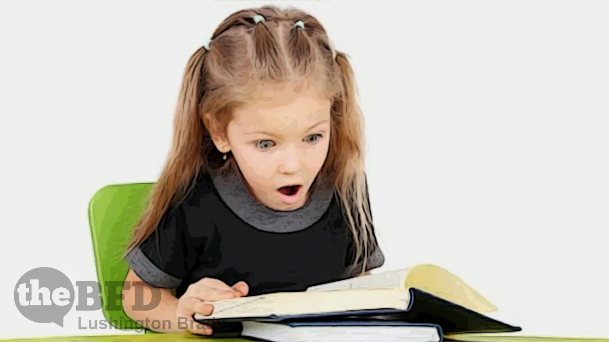 Does Graphic Sex Lit Belong in Schools?