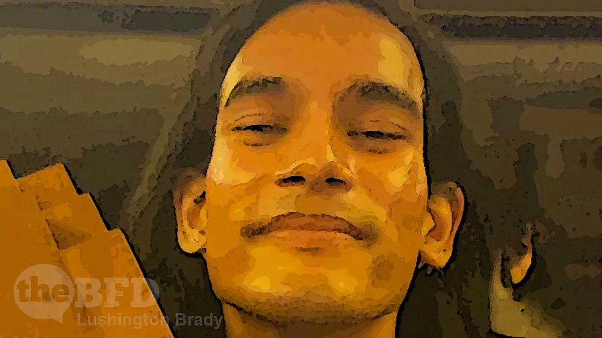 In Praise of Shaneel Lal