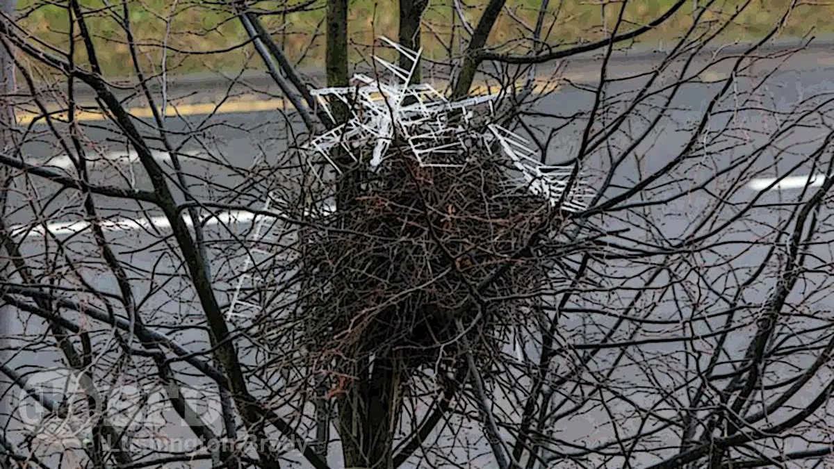 Life Finds a Way, Indeed