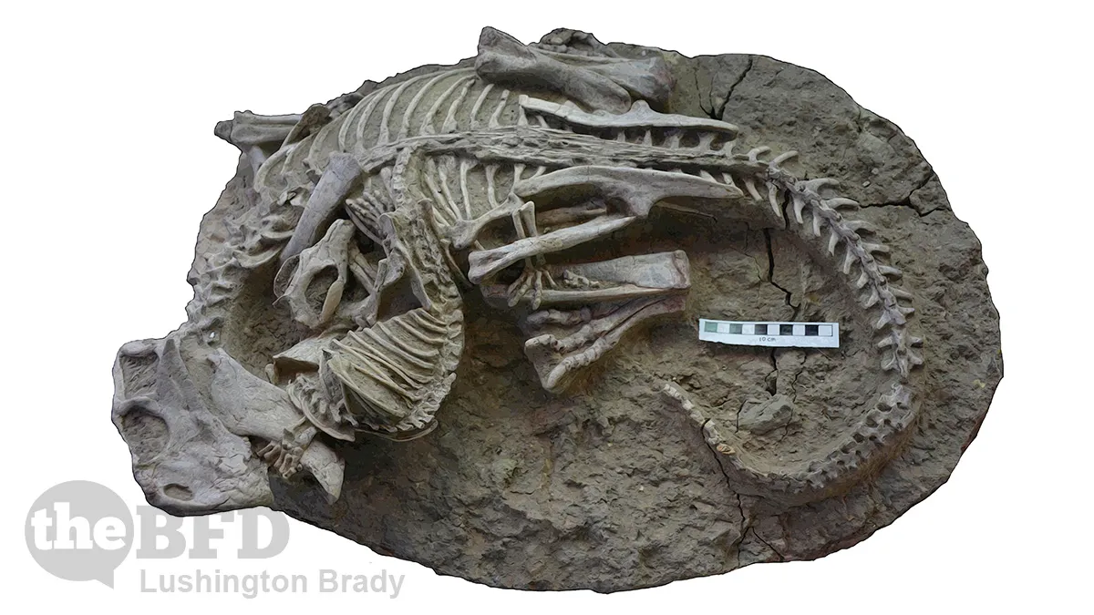 Bringing a Mammal to a Dino Fight