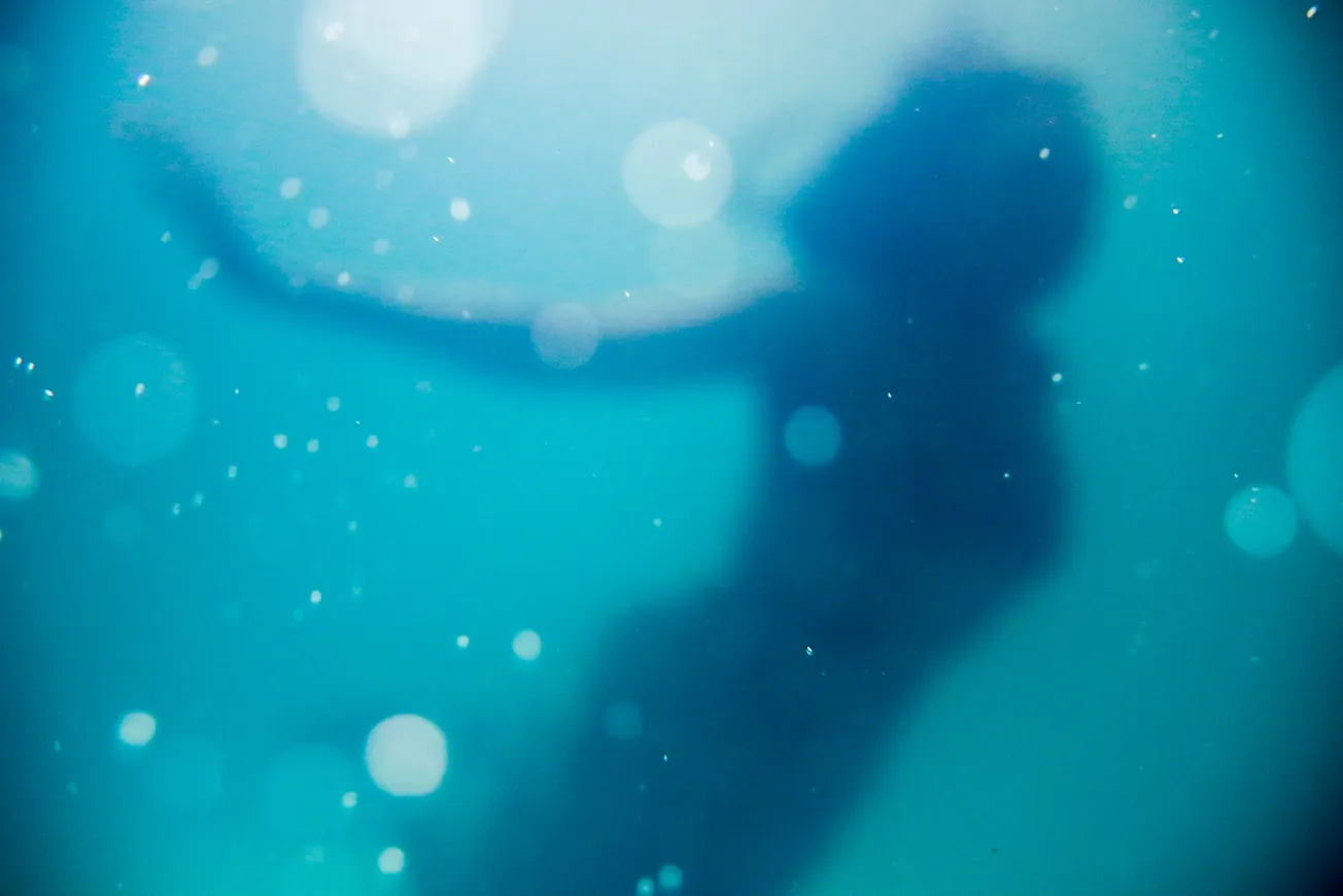 woman swimming under body of water