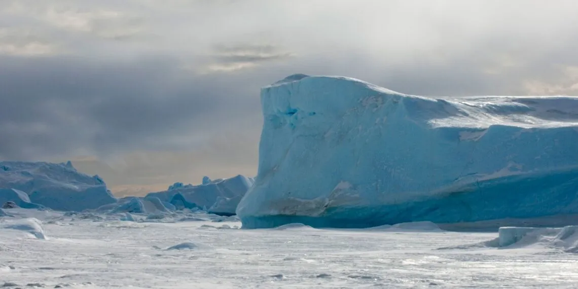 Climate Activism Fund Financing Attacks on US Constitution