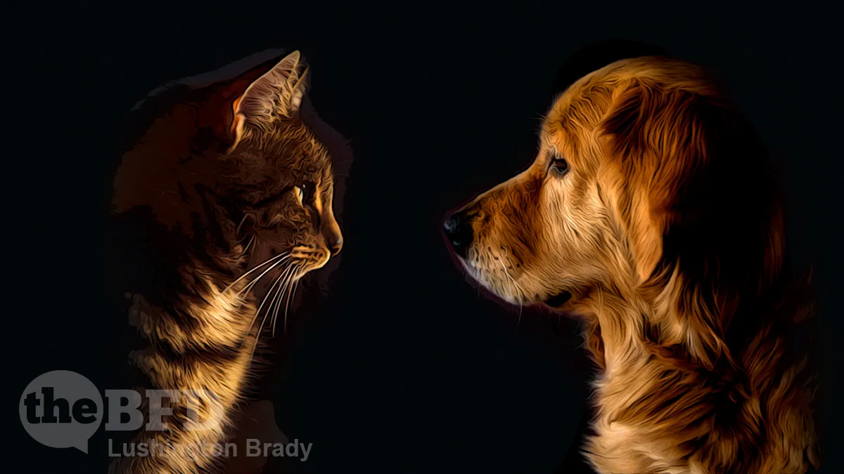 Cats v Dogs: Who Wins the Brains Race?