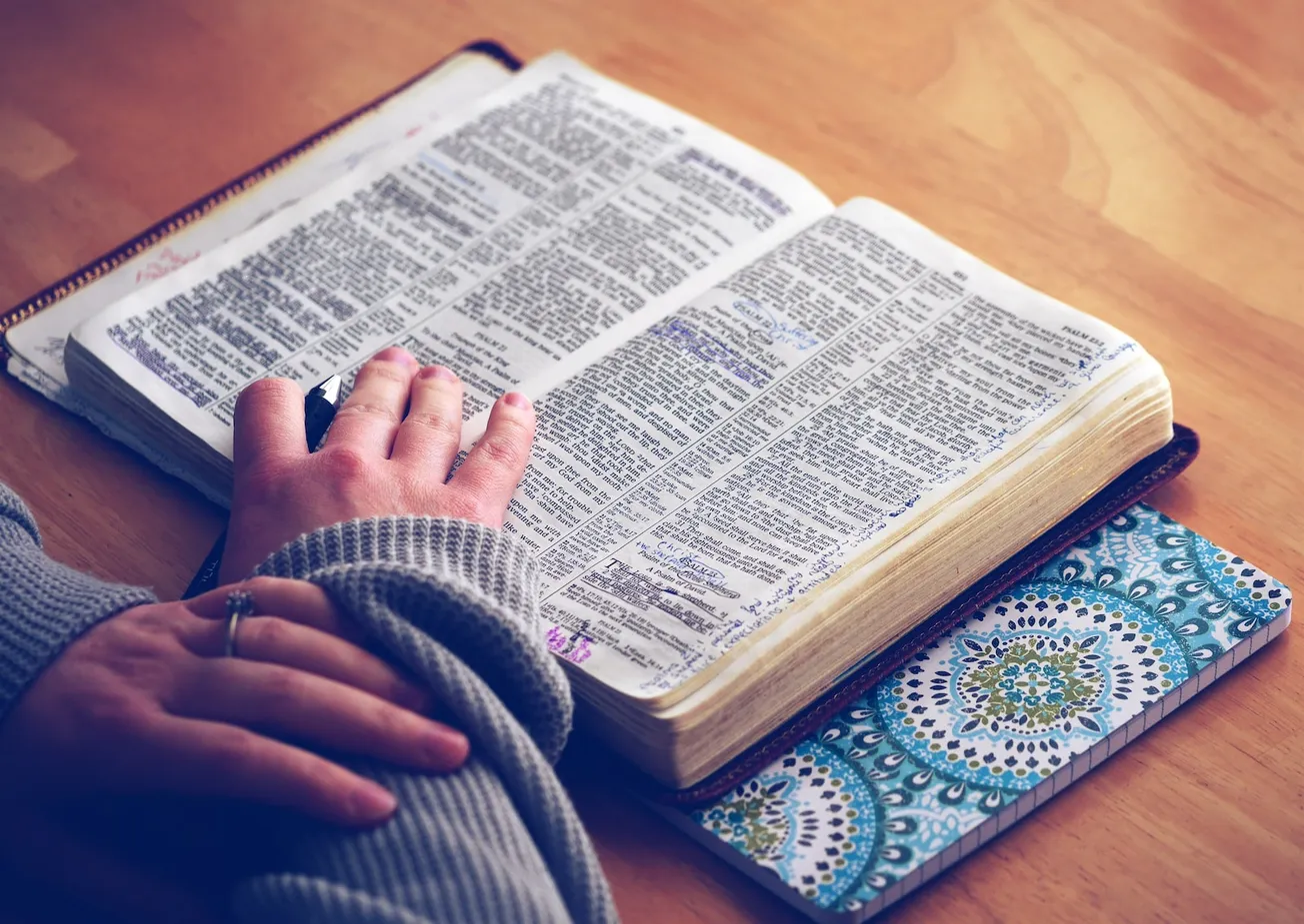 person reading a book with hands on top of book