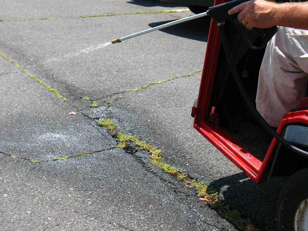 High Stakes over Roundup Weed Killer