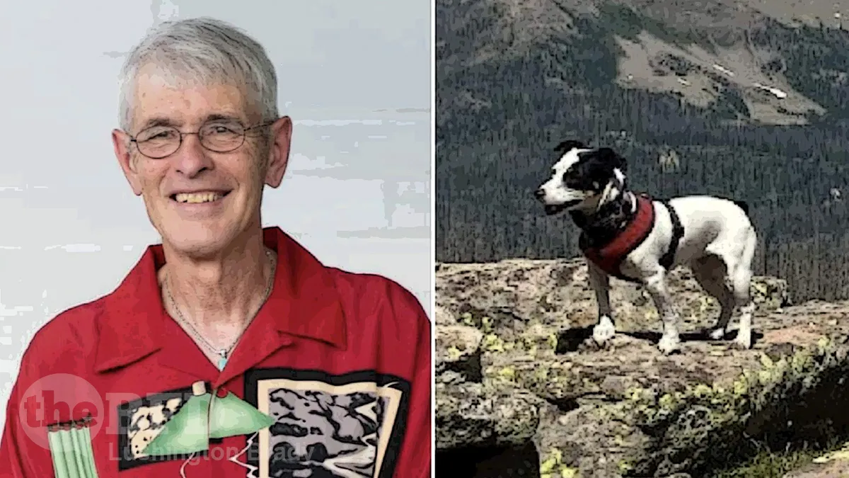 Another Stunning Tale of Canine Loyalty