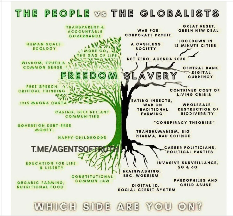 We Are on the Way Down