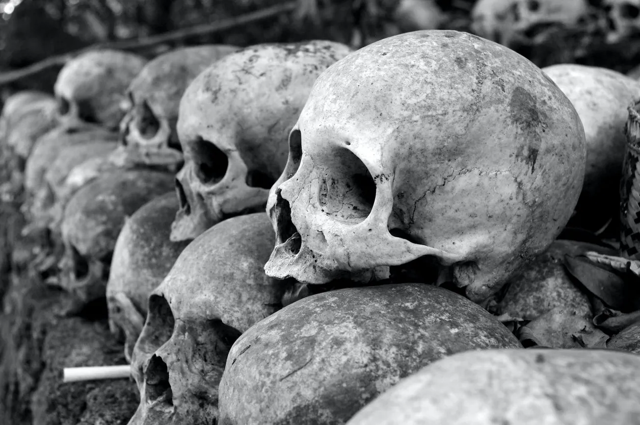 Grey Skulls Piled on Ground