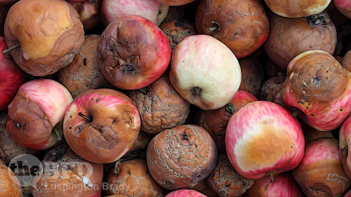 Creepers in the Classroom Let Free