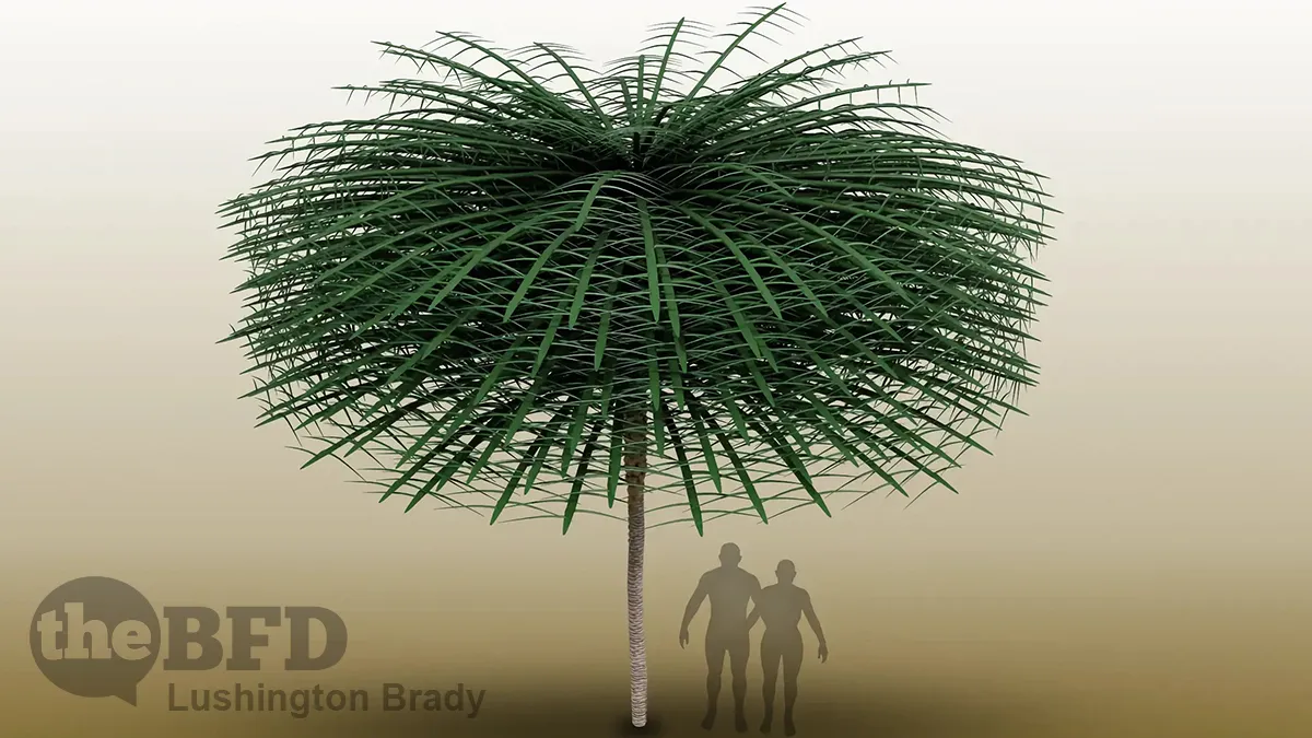 Ancient ‘Dr Seuss’ Tree Unearthed