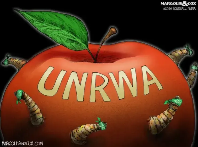 Holding the UNRWA to Account