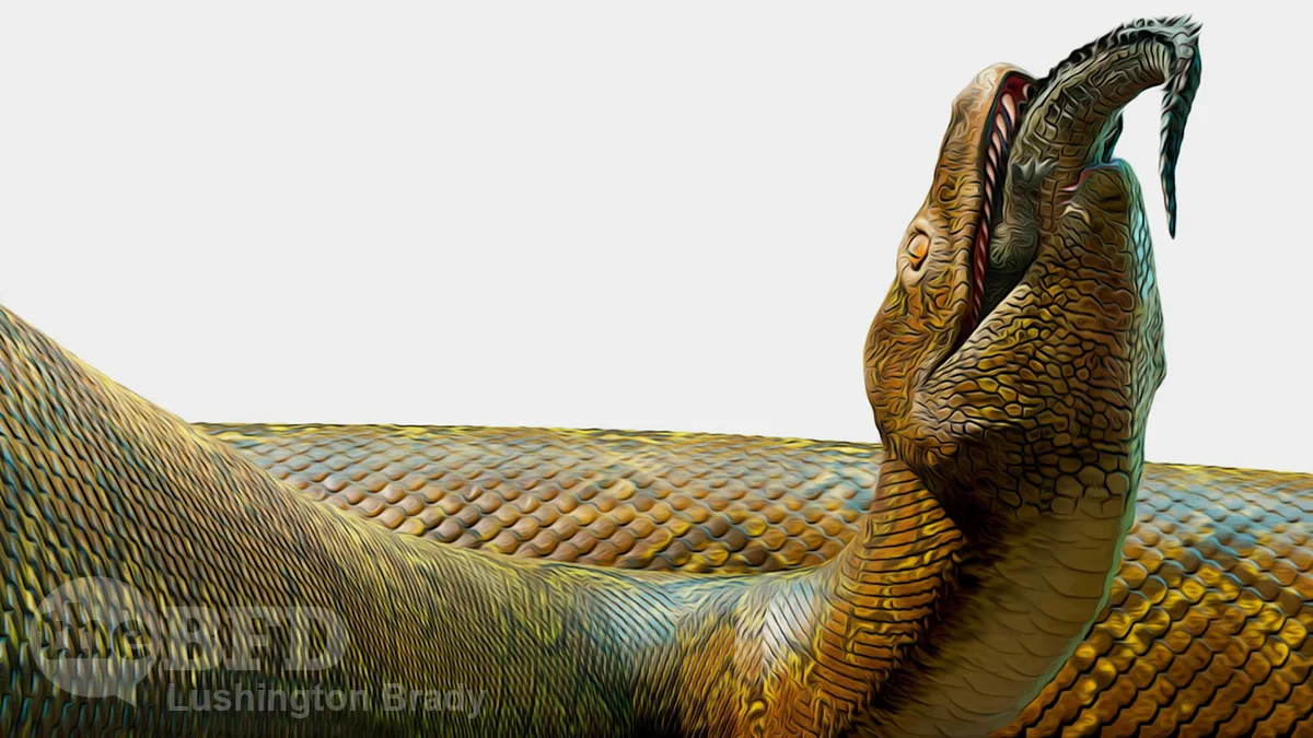 Now That’s What I Call a Snake