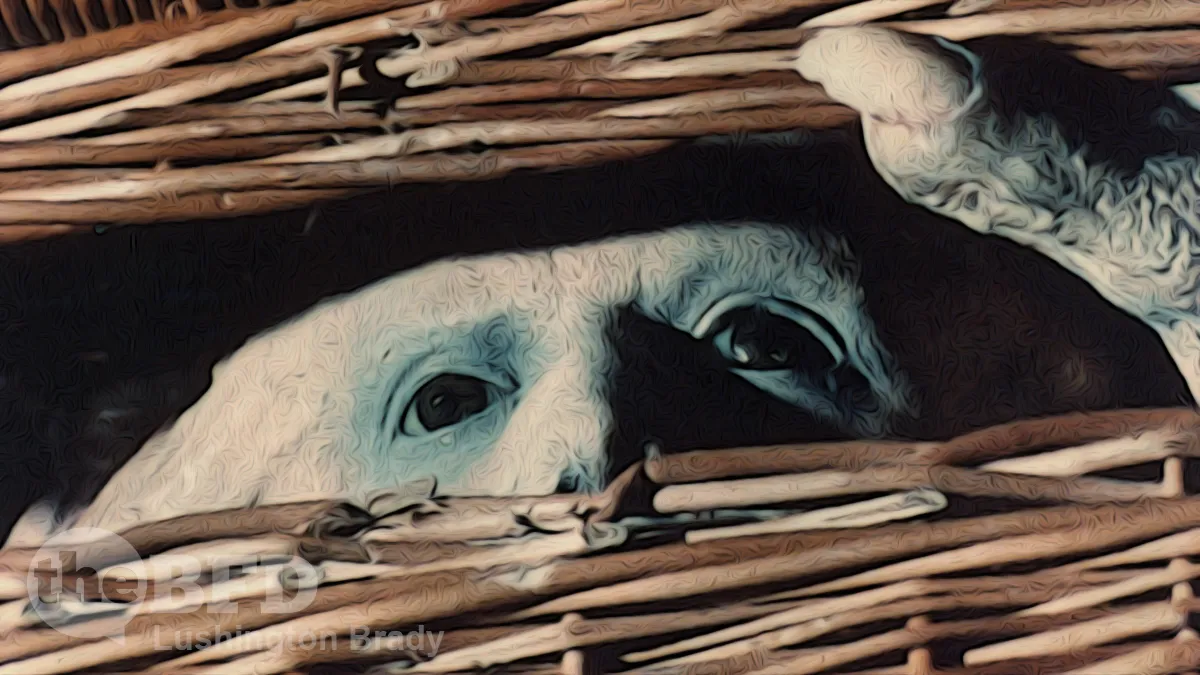 Victoria: Back in the Basket Again