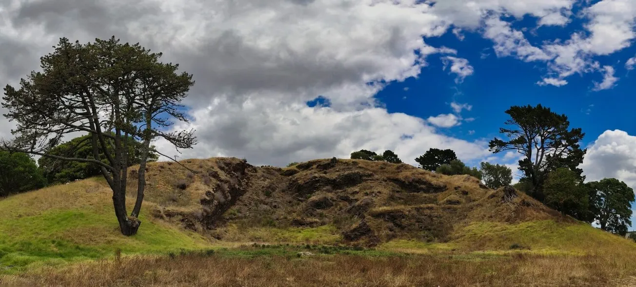 The Greening of Auckland’s Poorer ’Burbs