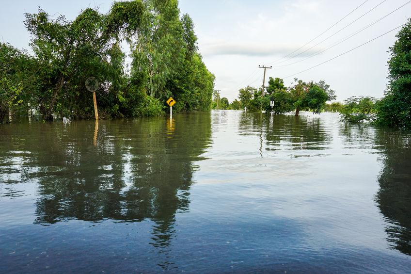 When history disproves climate doom